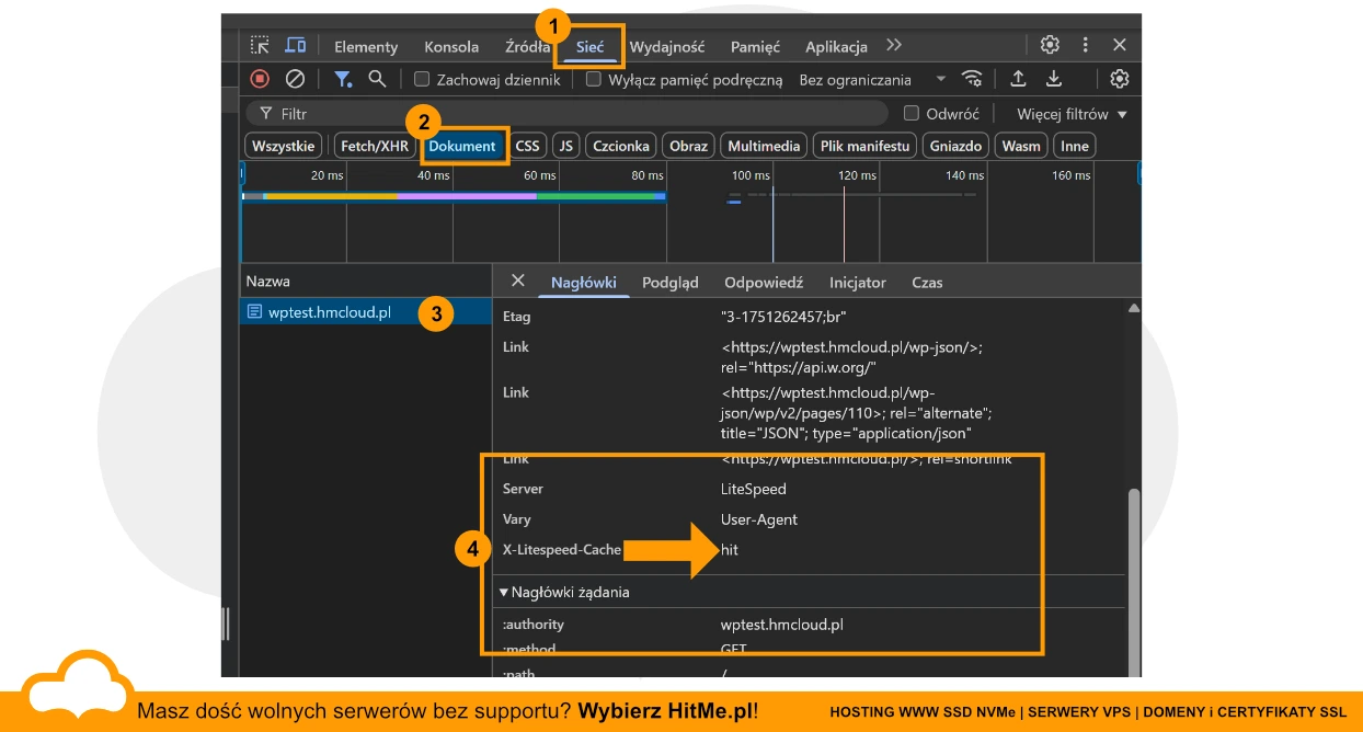 litespeed cache dev tools