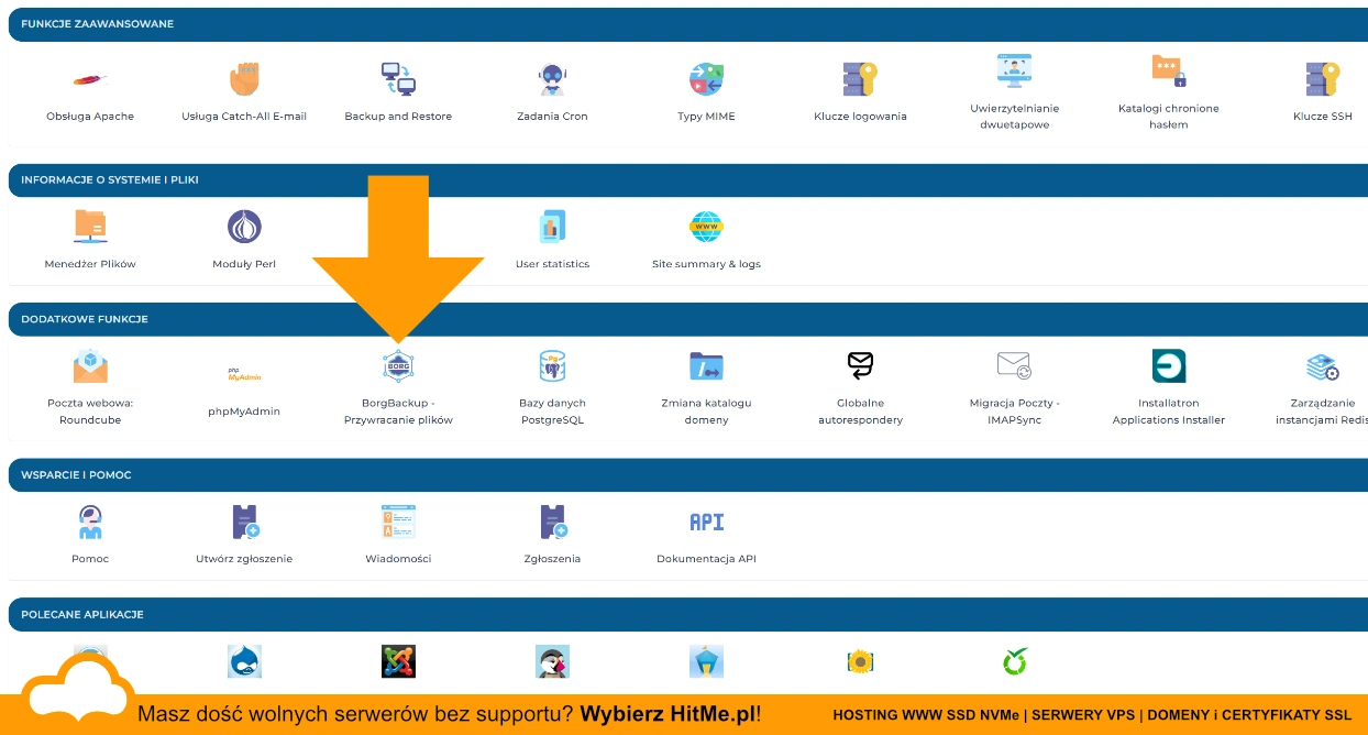 borgbackup directadmin